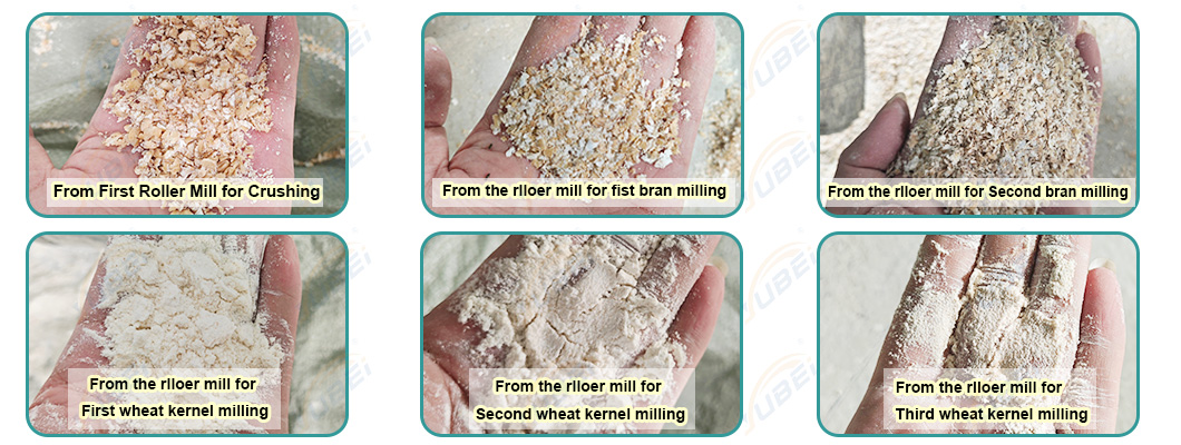 Wheat Milling Detail 4