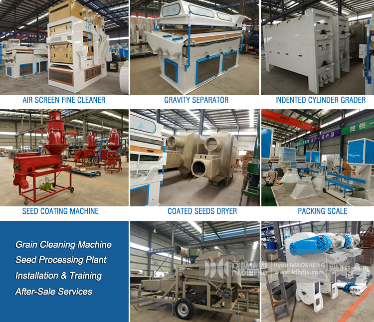Seed Processing Machines Group