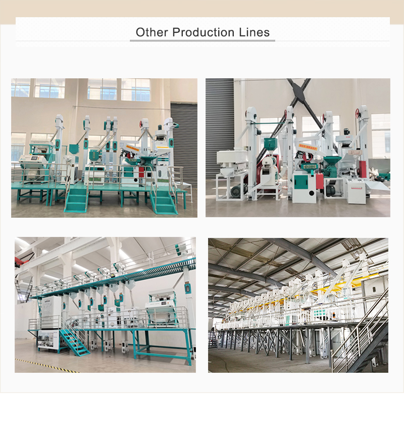 Other Processing Line Turnkey