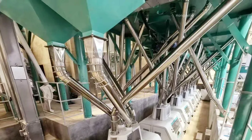 Stainless Steel Pipes