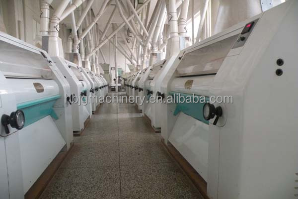 Wheat Roller Mill/small Wheat Flour Mill 50 Ton Per Day