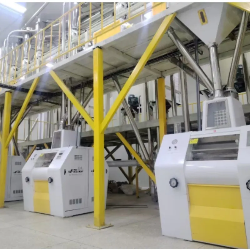 50 TPD Processing Machine View 1