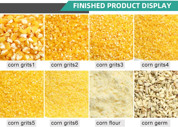 Maize Processing Plant Structure