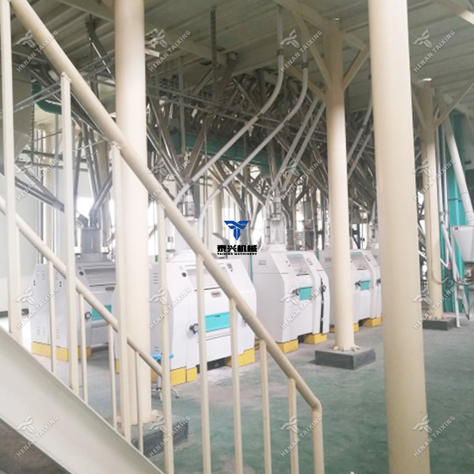 Wheat Flour Processing Equipment Line with Cleaning Tempering Milling Packing