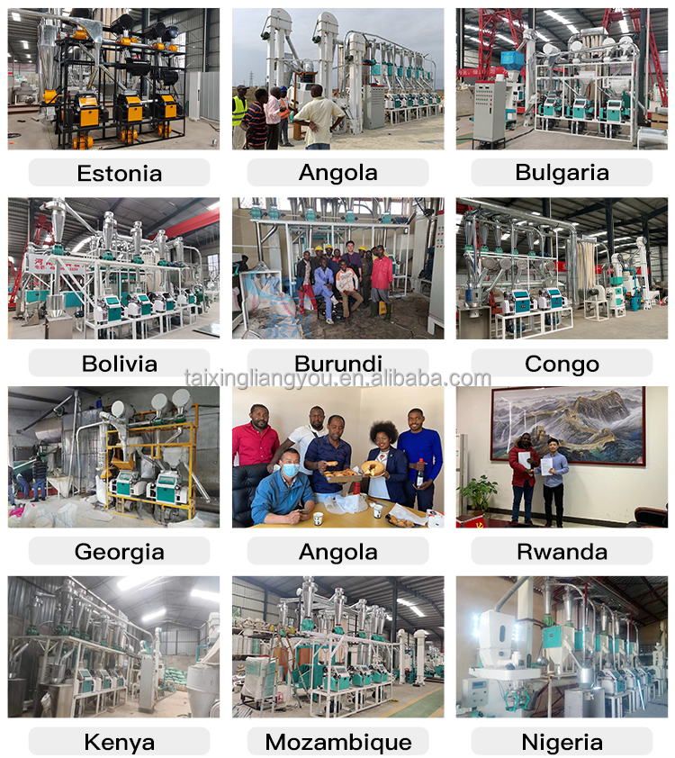 Related Grain Processing Machinery