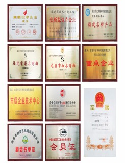 Certificate 9