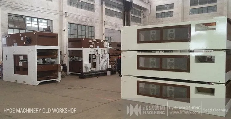 Wheat Barley Oat Paddy Seed Cleaning Equipment