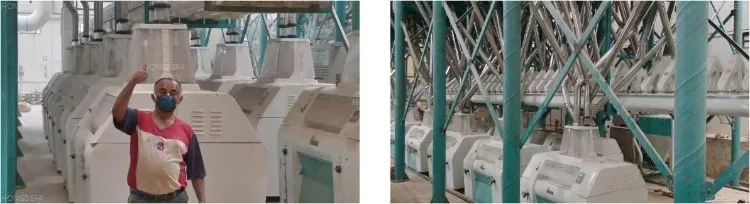 200T/24h Wheat flour mill plant layout