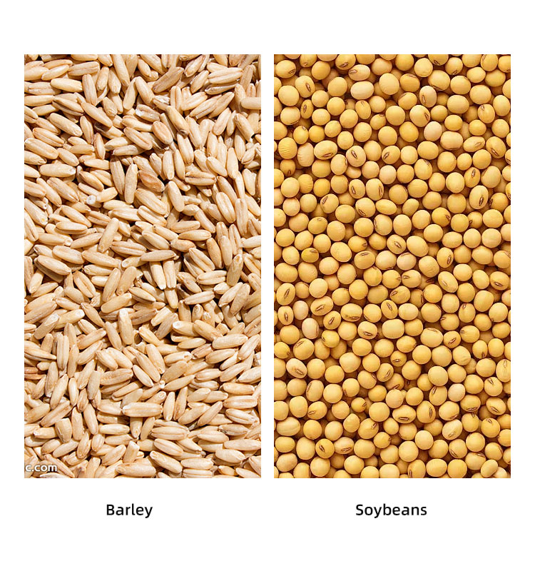 Grain Stoner Application 1