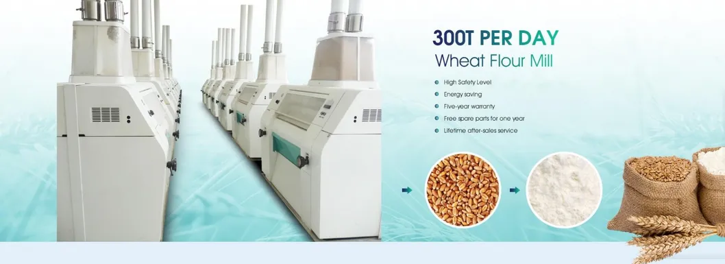 300T/24H wheat flour mill machine in Malaysia