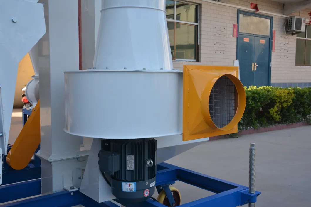 Wheat Paddy Rice Sorghum Seed Cleaning Equipment