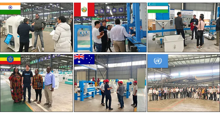 International Customers Visit Factory