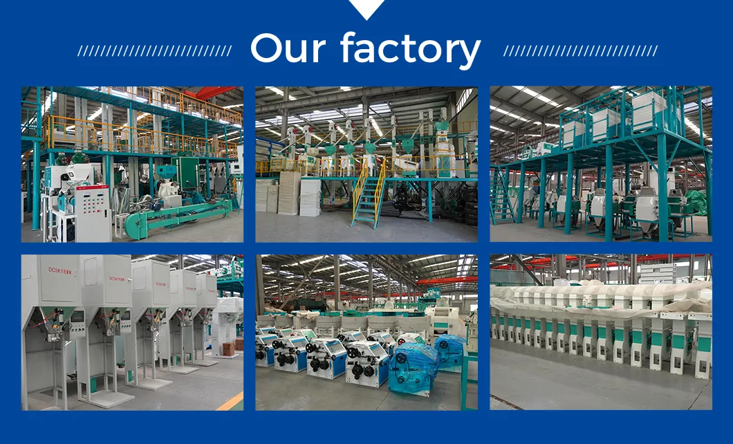 50 Tons Per Day Wheat Maize Flour Milling Machine
