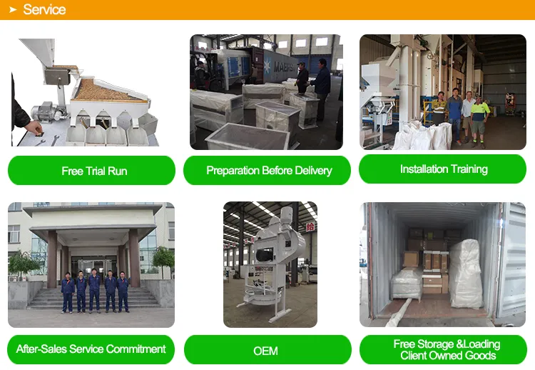 European Standard Wheat Barley Flax Fine Seed Cleaning Equipment