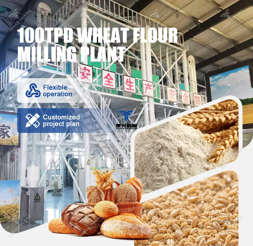 Wheat Flour Processing Equipment Line with Cleaning Tempering Milling Packing