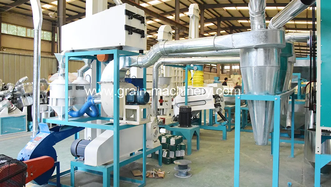 Maize Processing Plant Structure