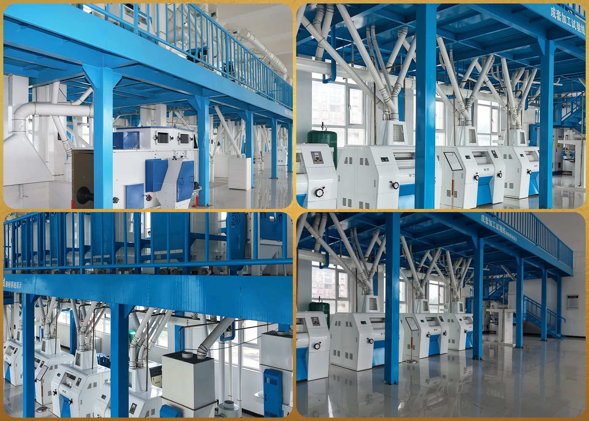 Modern Automated 100 Ton 24h Wheat Flour Milling Equipment with Precision Cleaning and Conditioning System