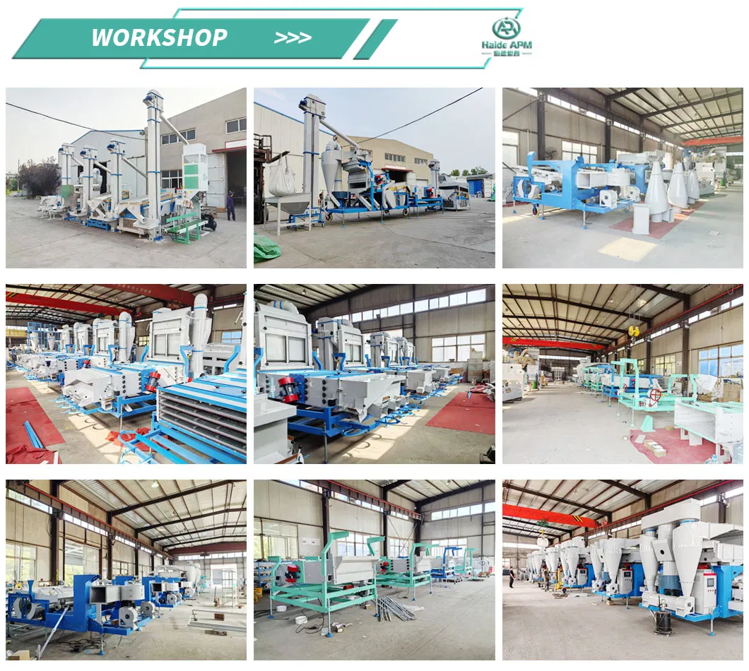 Advanced Wheat Rice Sorghum Grain Cleaning Equipment for High Output Mills