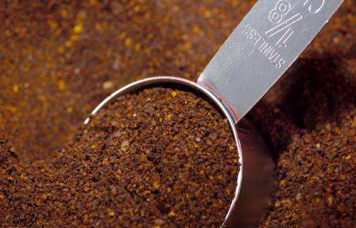 Coffee Powder