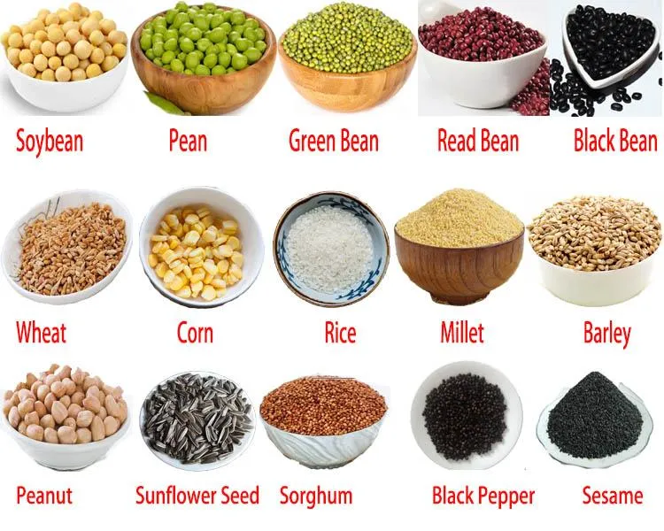 Wheat Paddy Rice Sorghum Seed Cleaning Equipment