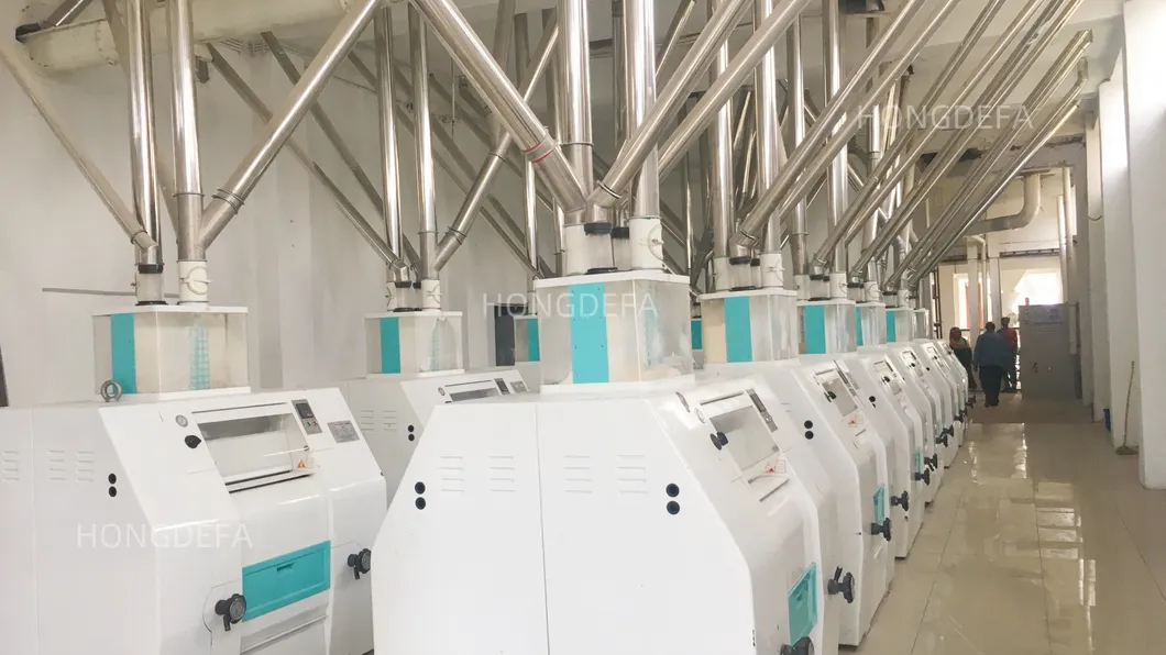 120T wheat flour mill machine in Zimbabwe