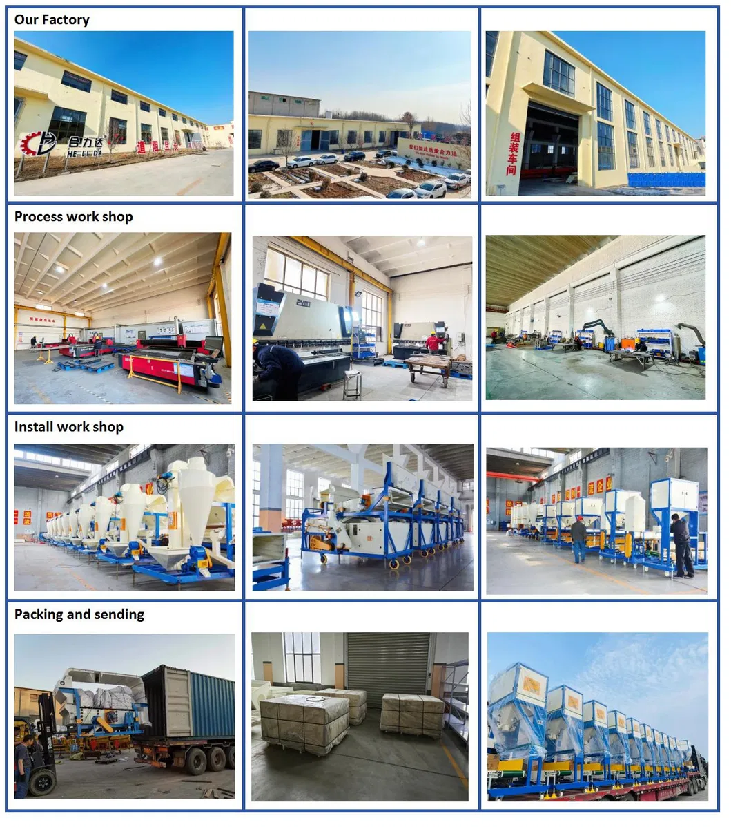 Wheat Paddy Rice Sorghum Seed Cleaning Equipment
