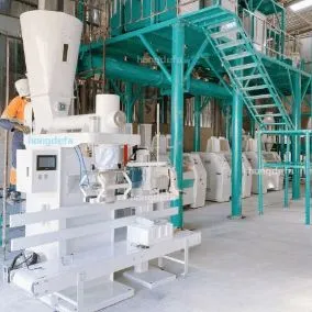 Automatic Packing System