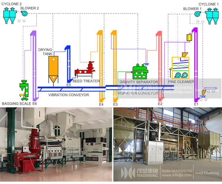 Oilseeds Grain air Screen Cleaner Grader Grain air Screen Cleaner Fine Seed Processing Machine