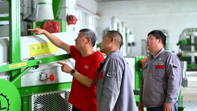 High Efficiency Wheat Corn Rice Seed Screening Cleaning Equipment