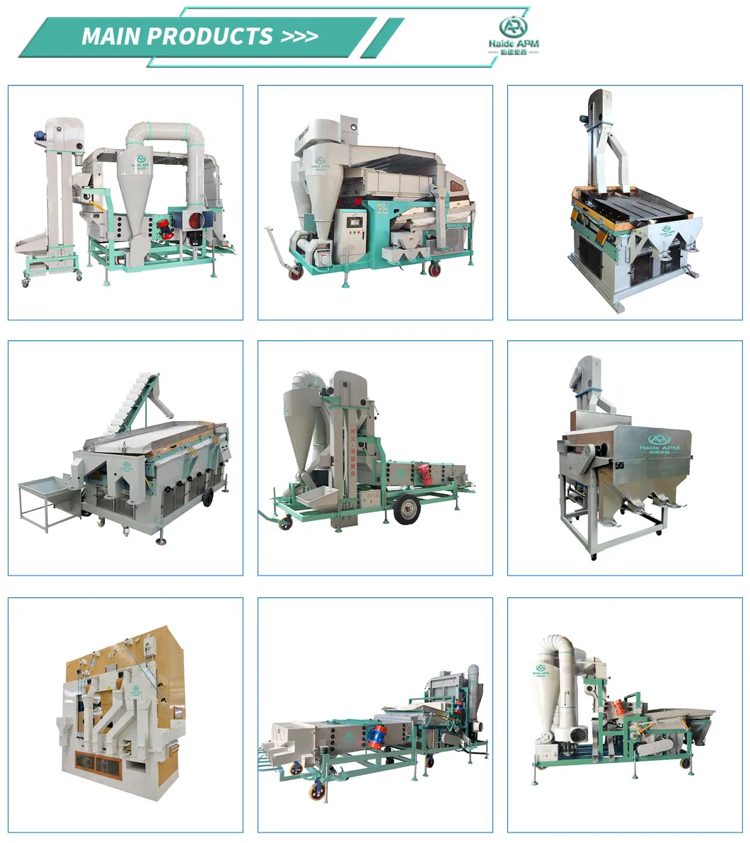 Advanced Wheat Rice Sorghum Grain Cleaning Equipment for High Output Mills