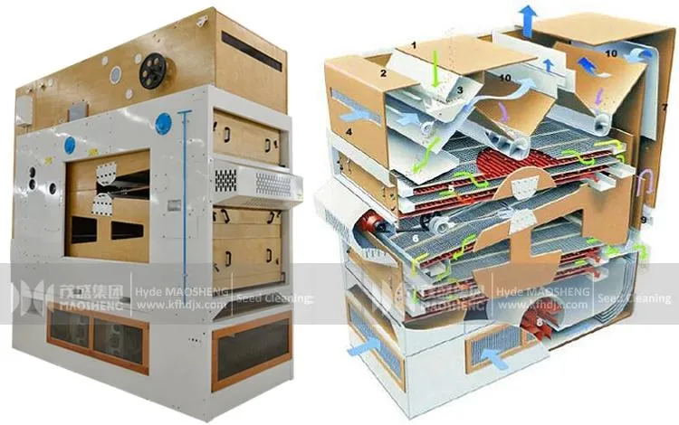 Wheat Barley Oat Paddy Seed Cleaning Equipment