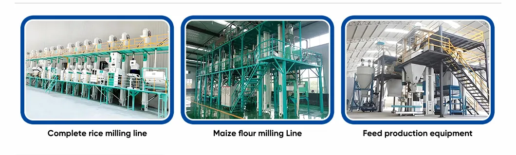 50 Tons Per Day Wheat Maize Flour Milling Machine