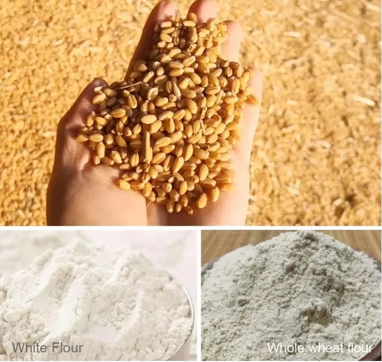 Automatic Wheat Flour Milling Machine Corn Maize Flour Mill Plant Machinery Layout