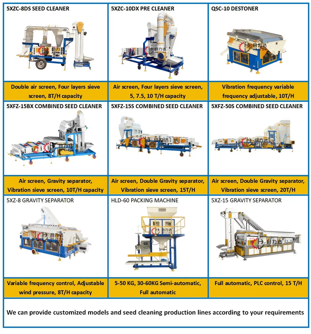 Wheat Paddy Rice Sorghum Seed Cleaning Equipment