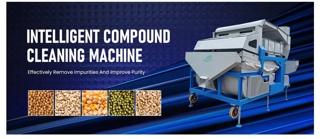 Grain Seed Cleaner and Grader 30t/H Large Capacity Wheat Cleaning Equipment with Gravity Table