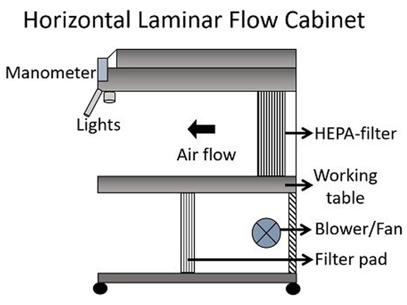 Clean Bench Details