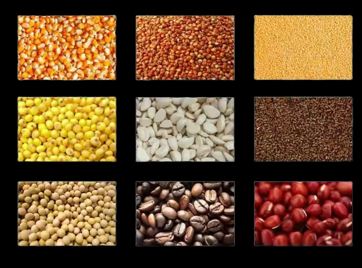 Continuous Seed Cleaning Equipment for High-Quality Wheat Processing