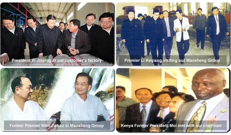 Inspection Visit by Officials