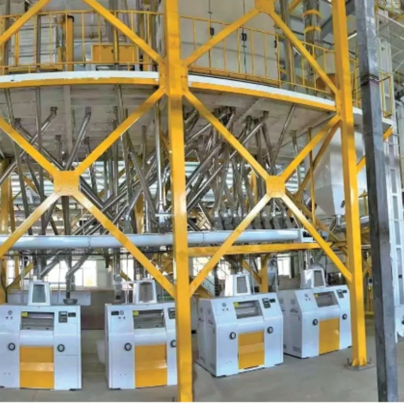 50 TPD Processing Machine View 2