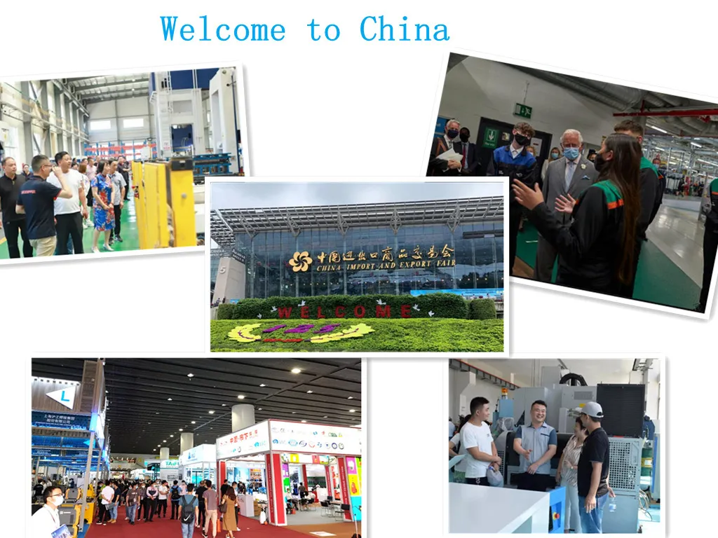 Continuous Seed Cleaning Equipment for High-Quality Wheat Processing