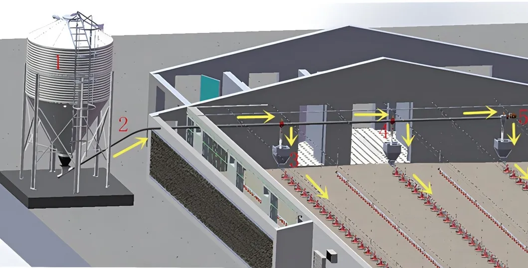 Structure Drawing 3