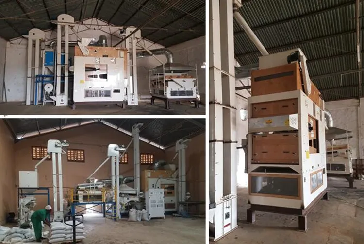 Air Screen Fine Seed Cleaning Equipment for Wheat Paddy Sesame Bean