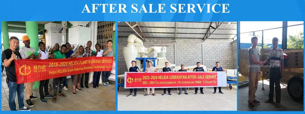 Wheat Paddy Rice Sorghum Seed Cleaning Equipment