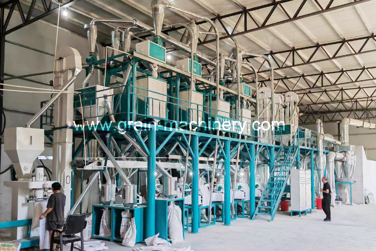 Wheat Milling Production Line Scene 1
