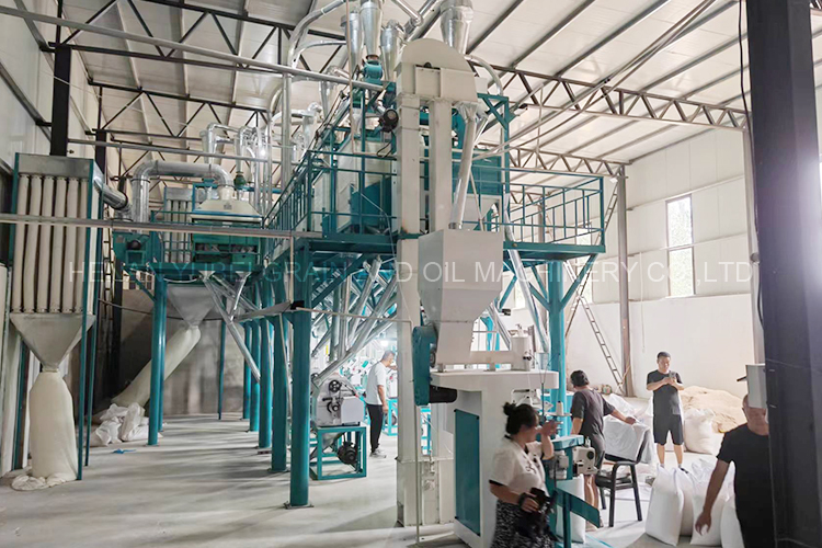 Wheat Milling Production Line Scene 2