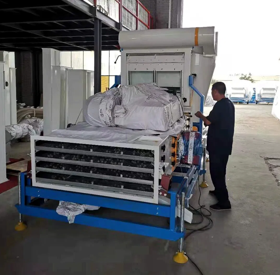Wheat Paddy Rice Sorghum Seed Cleaning Equipment