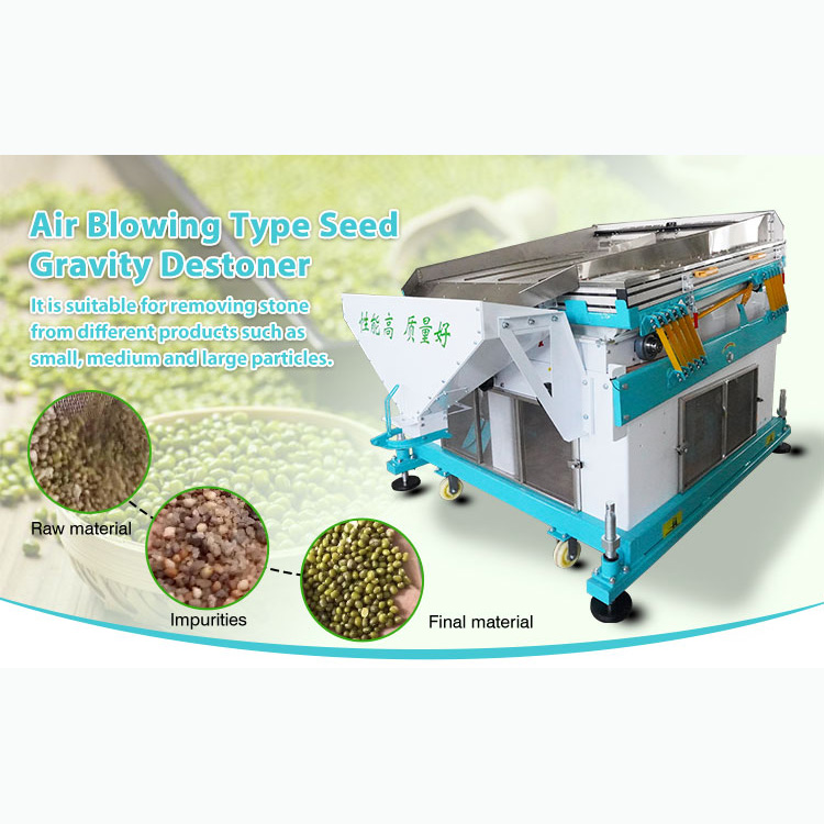 Commercial Grain Seed De-stoner with Adjustable Sieve Durable Stainless Steel for Farm &amp; Seed Processing Plant