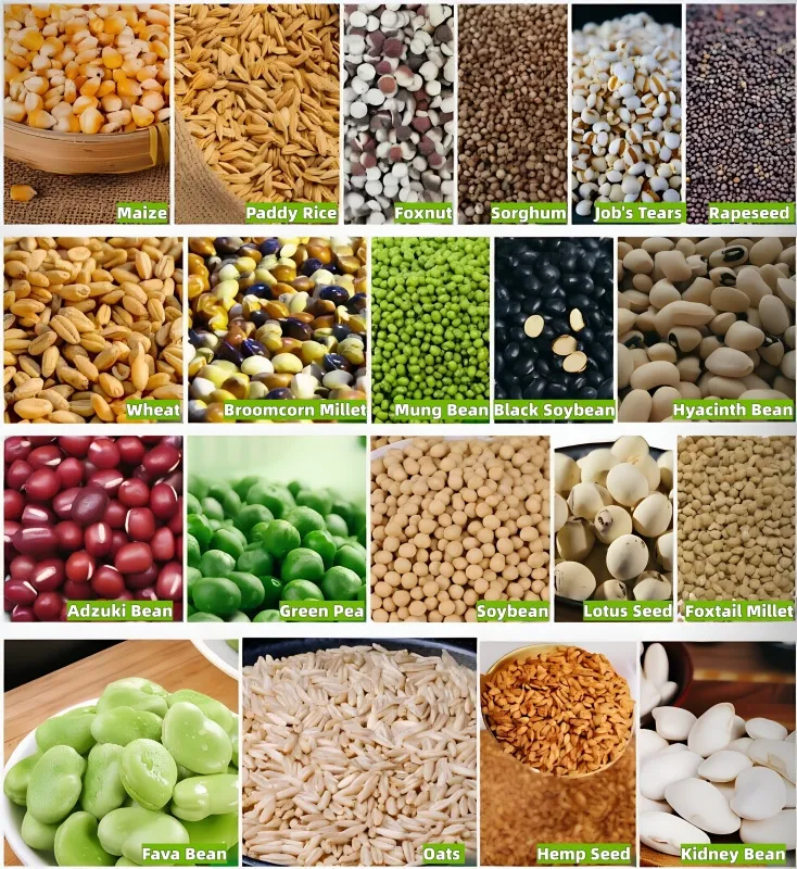 High Efficiency Wheat Corn Rice Seed Screening Cleaning Equipment