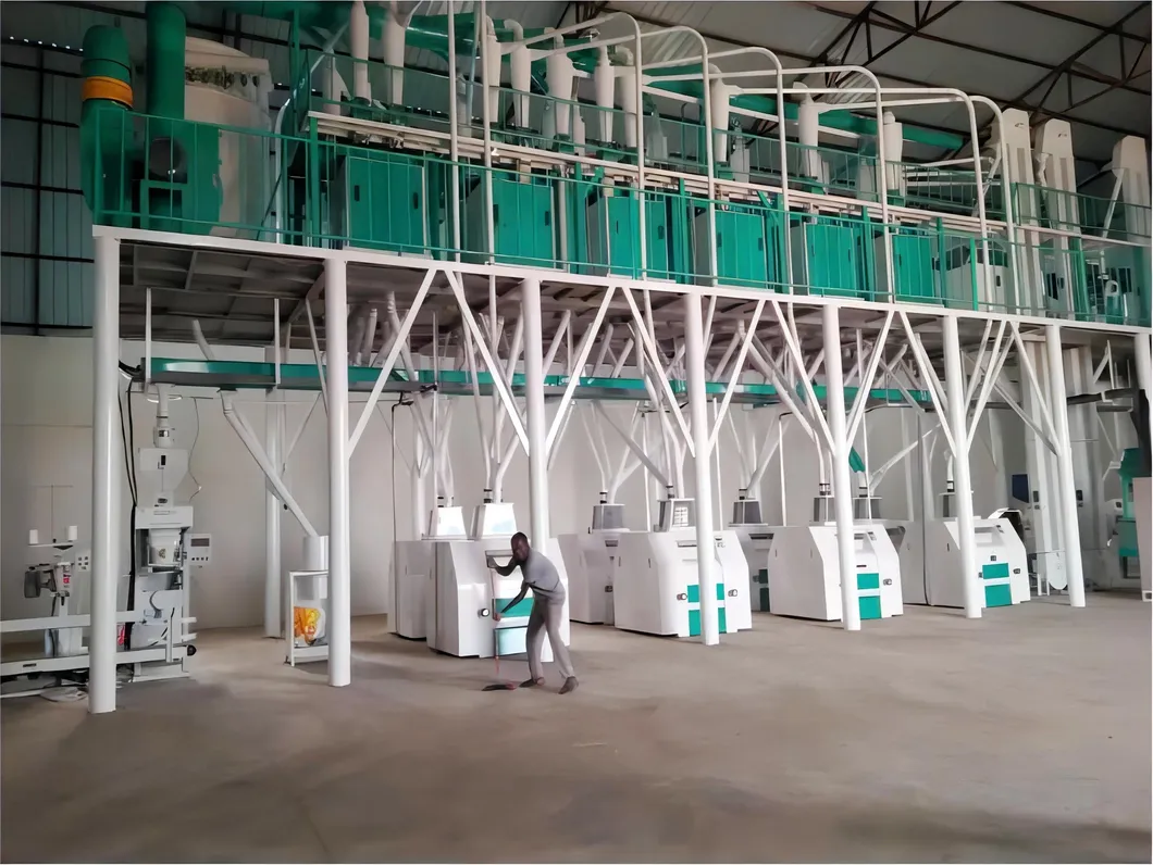 High-Efficiency 60 Ton Daily Corn Mill Maize Flour Milling Machine for Sale