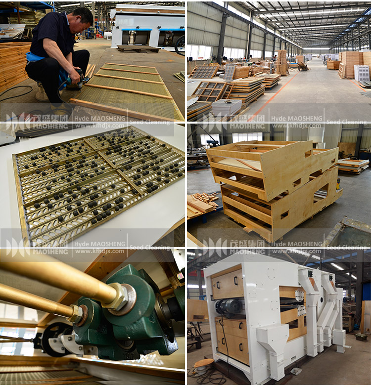 Oilseeds Grain air Screen Cleaner Grader Grain air Screen Cleaner Fine Seed Processing Machine